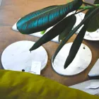 Rund design vit Carrara marmorskärbräda tillverkad i Italien - Masha Viadurini