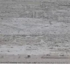 Designer Rug i viskos och akrylgrå beige med design - President Viadurini