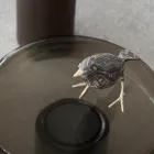 Soffbord med glasskiva och metallunderrede Tillverkat i Italien - Batulla Viadurini