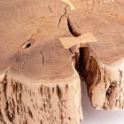 Homemotion Soffbord med formad topp i akaciaträ - Nabucco Viadurini