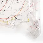 Modernt bord av mångfärgat plexiglas tillverkat i Italien, Asien Viadurini