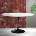 Saarinen Tulip ovalt soffbord H 41 cm i mattvit Florim keramik - Scharlakansröd