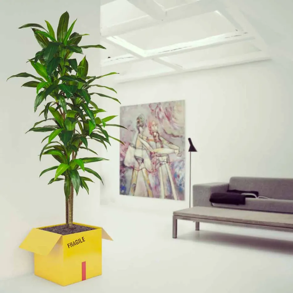 Kaffe hållare tidskrifter Fragile Mabele Viadurini