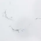 Utdragbart matbord 240 cm Glas och keramikskiva - Barone Viadurini