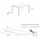 Köksbord i mattglas med metallkonstruktion tillverkad i Italien - brosch Viadurini