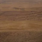 Homemotion runt matbord med mangoträskiva - Rondolo Viadurini