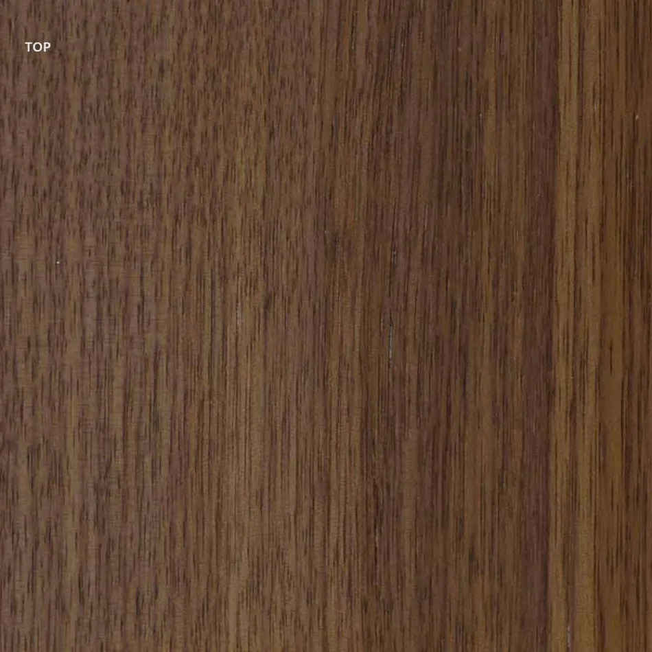 Modernt designbord med träplatta och metallbas, Esperia Viadurini