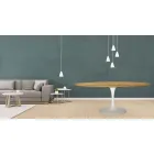 Tulip Bord Eero Saarinen H 73 Oval i Ek Tillverkad i Italien - Scarlet Viadurini