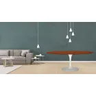 Tulip Table Eero Saarinen H 73 Oval i körsbärsfärgad ek Made in Italy - Scarlet Viadurini