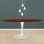 Eero Saarinen Tulip Table H 73 Oval i rosenträbetsad ek tillverkad i Italien - Scarlet Viadurini