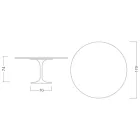 Eero Saarinen H 74 Tulpanbord i guld Calacatta marmor Tillverkad i Italien - Scarlet Viadurini