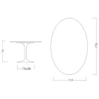 Tulip Table Saarinen H 74 med oval skiva i Carrara-marmor Tillverkad i Italien - Scarlet Viadurini