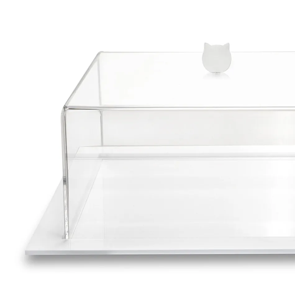 Transparent Plexiglass Square Cake Cake Pan Made in Italy 2 storlekar - Crotone Viadurini