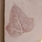 Toscot Vivaldi terracotta vägglampa gjord i Italien Viadurini