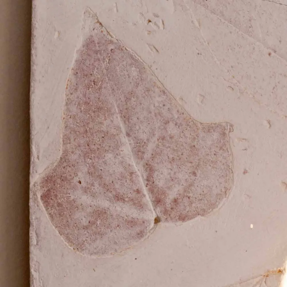 Toscot Vivaldi terracotta vägglampa gjord i Italien Viadurini