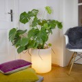 Vas med solbelysning eller LED-design för inomhus eller utomhus - Cilindrostar