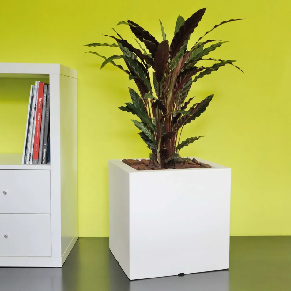 Kruka eller fyrkantig trädgårdsavdelare Tre färger Made in Italy - Växter Viadurini