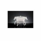 Inomhus dekorativ vas i vit keramik eller 24k guld tillverkad i Italien - Jacky Viadurini