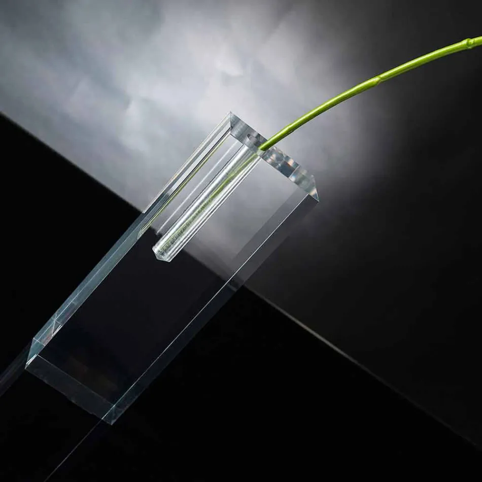 Modern genomskinlig plexiglasblomstervas i Italien - unik Viadurini